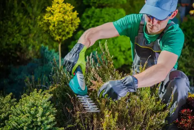 landscaping services North Bellmore